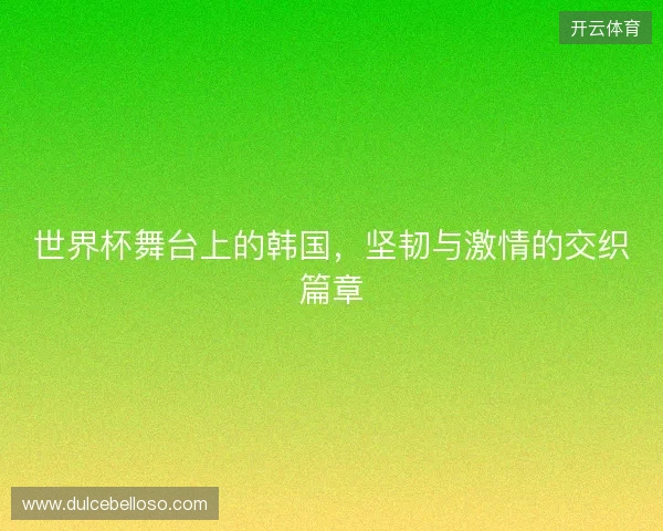 世界杯舞台上的韩国，坚韧与激情的交织篇章